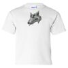 Ultra Cotton Youth T-Shirt Thumbnail