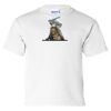 Ultra Cotton Youth T-Shirt Thumbnail
