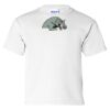 Ultra Cotton Youth T-Shirt Thumbnail